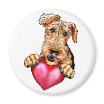 Airedale Terrier Holds My Heart no text Magnets