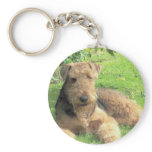 Airedale Terrier Keychain