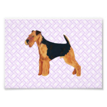 Airedale Terrier Lavendar Weave Art Photo