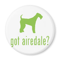 Airedale Terrier Refrigerator Magnets
