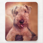 Airedale Terrier Mousepad