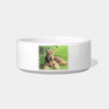 Airedale Terrier  Pet Bowl