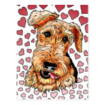 Airedale Terrier Pink Hearts Valentine's Day Post Cards