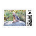 AIREDALE TERRIER postage by Blanche4 AIREDALE TERRIER postage