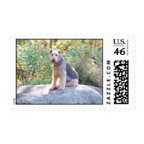 AIREDALE TERRIER POSTAGE STAMPS