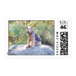 AIREDALE TERRIER postage