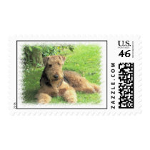 Airedale Terrier Postage Stamp