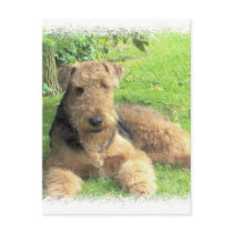 Airedale Terrier Postcard