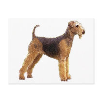 Airedale Terrier Post Card