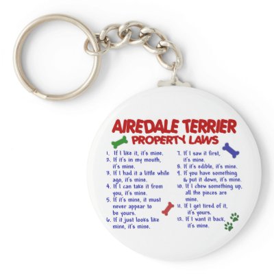 AIREDALE TERRIER Property Laws 2 Key Chains by poochloverstuff