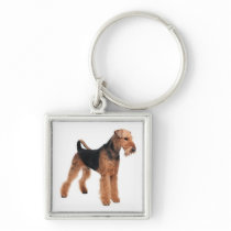 Airedale Terrier Puppy Dog Premium Keychain