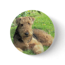 Airedale Terrier Round Pin