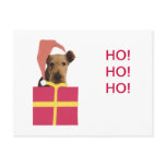 Airedale Terrier Santa Hat Gift Box Postcard