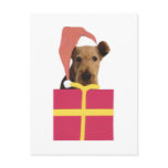 Airedale Terrier Santa Hat Gift Box Postcard