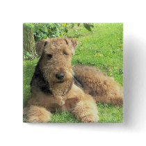 Airedale Terrier Square Pin