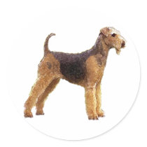 Airedale Terrier Round Stickers