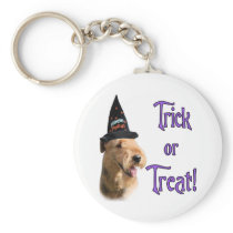 Airedale Terrier Trick Key Chain