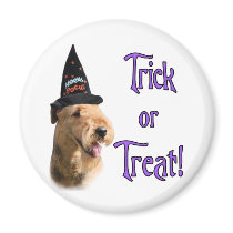 Airedale Terrier Trick Magnets