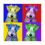 airedale, airadale, airdale, terrier, terriers,