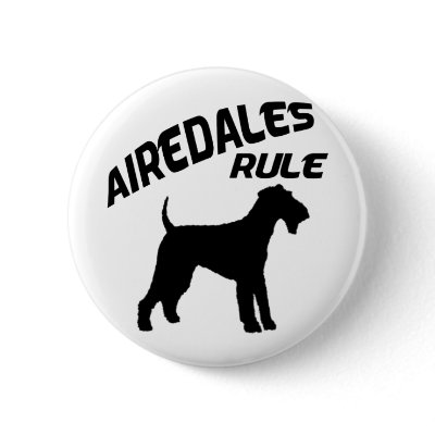 Airedales Rule Buttons by dogsandhorses