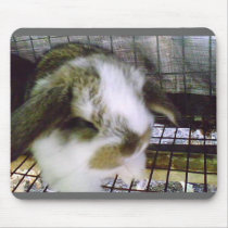 Airplane Ears mousepads
