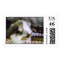 Airplane Ears postage