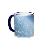 Airplane in Flight: Wing Span Coffee Mugs