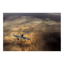 Airplane poster posters by Junglegeorge Airplane poster posters
