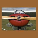 Airplane Poster Print