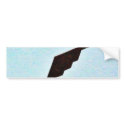 Airplanes Stealth Bomber bumper stickers