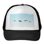 Airshow Fighters Airplanes Hat