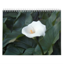 airum lilly calendars by kathiscc airum lilly calendars