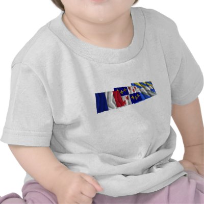 Aisne, Picardie & France flags Shirt by Vexillophile