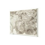 Aix Stretched Canvas Print