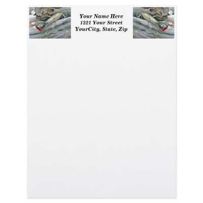 AJS Saltwater Lure Popper Mullet Letterhead by CarolsCamera