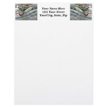 AJS Saltwater Lure Popper Mullet Letterhead
