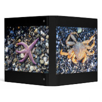 Ak Crab (2), starfish (2) binders by kotzradio Ak Crab (2), starfish (2) binders