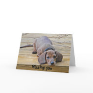 AK- Funny Dachshund Missing You Card card