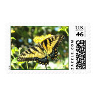 AK- Yellow Butterfly Postage Stamps stamp