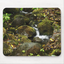 Akaka Fall smaller trail stream 2 mousepads