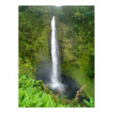 Akaka Falls, Hawaii posters by mogplus5 Akaka Falls, Hawaii posters