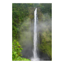Akaka Falls - Hawaii posters