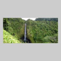 Akaka Falls horizontal panorama posters