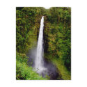 Akaka Falls, Island of Hawaii postcards by Rebecca_Reeder Akaka Falls, Island of Hawaii postcards