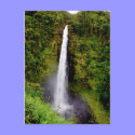 Akaka Falls, Island of Hawaii postcards by Rebecca_Reeder Akaka Falls, Island of Hawaii postcards