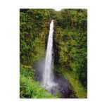 Akaka Falls, Island of Hawaii Waterfall Postcards