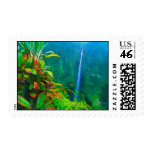 Akaka Falls Postage