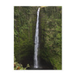 Akaka Falls Postcard