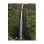 Akaka Falls Postcard