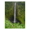 Akaka Falls posters by RyanCFI Akaka Falls posters